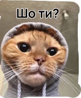 🌟 emoji Катюня стайл Telegram sticker 22 of 33