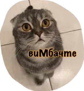 🌟 emoji Катюня стайл Telegram sticker 15 of 33