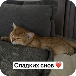 Sticker from Луна 🌙