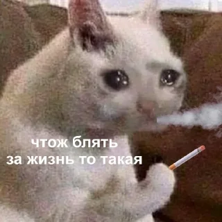 🙁 emoji 💕Стики тут: @sekstick Telegram sticker 11 of 120