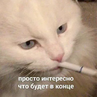 🤔 emoji 💕Стики тут: @sekstick Telegram sticker 10 of 120