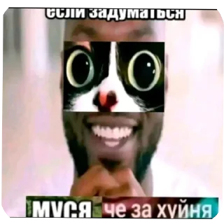 👄 emoji Свои мемы @XZ_MAMGO Telegram sticker 17 of 120