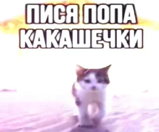 Sticker from даша дура