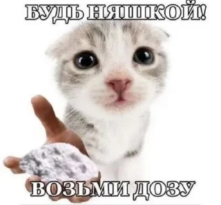 ⚠️ emoji Для супер важных переговоров Telegram sticker 23 of 24