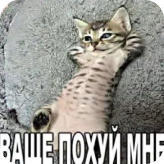 😒 emoji Для супер важных переговоров Telegram sticker 20 of 24