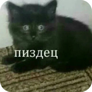 😳 emoji Для супер важных переговоров Telegram sticker 14 of 24