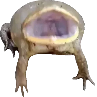 😦 emoji Больше стиков тут: @stikery4 Telegram sticker 1 of 119