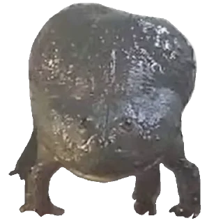 😡 emoji Больше стиков тут: @stikery4 Telegram sticker 19 of 119