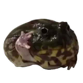 👋 emoji Больше стиков тут: @stikery4 Telegram sticker 18 of 119