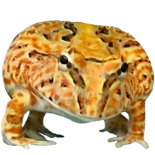 😠 emoji Больше стиков тут: @stikery4 Telegram sticker 13 of 119