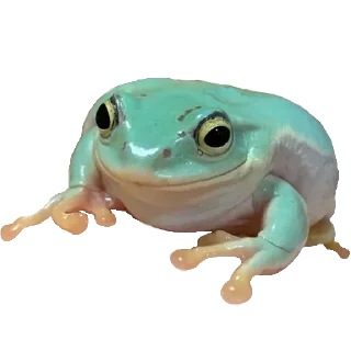🙂 emoji Больше стиков тут: @stikery4 Telegram sticker 15 of 119