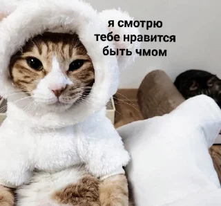 😔 emoji стики элис💪 Telegram sticker 16 of 51