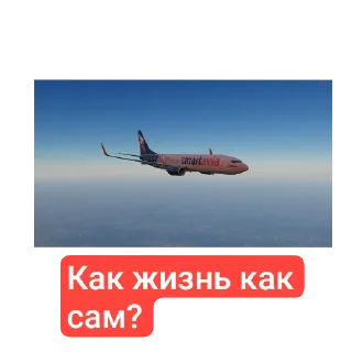 👍 emoji ПИЛОТ СТЕПА Telegram sticker 11 of 18