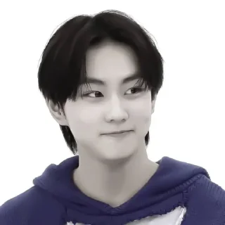 🍂 emoji 🍂’ 𝗃𝗎𝗇𝗀𝗐𝗈𝗇 @sunoowo Telegram sticker 13 of 40