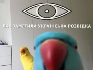 🤭 emoji Велика гривня Telegram sticker 19 of 55