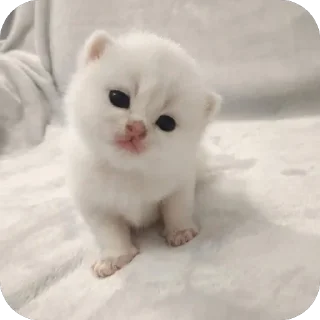 🫥 emoji дишкинв стики Telegram sticker 7 of 71