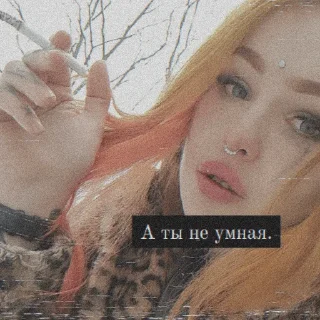 🤥 emoji госпожа сосиска Telegram sticker 5 of 20
