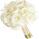 🌺 emoji Цветы 2 @StikerDi Telegram sticker 15 of 45