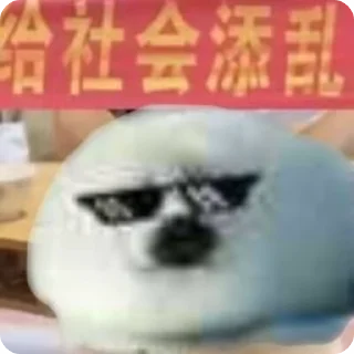 😎 emoji Тюленчики <3 Telegram sticker 14 of 30