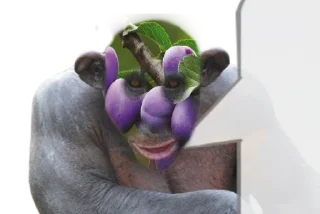 🫠 emoji Обезьяна легенда Telegram sticker 11 of 13