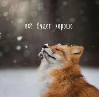 Sticker from Fox°•