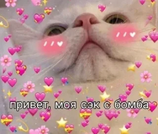 Sticker from Гипсофила 🌱