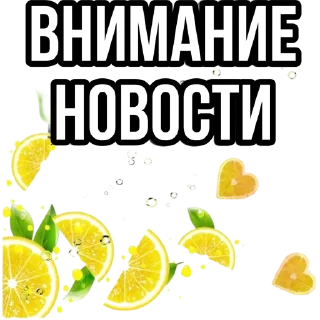 🔥 emoji @perets_probizness продажи в тг Telegram sticker 17 of 48