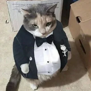 🎩 emoji Россия щедрая душа Telegram sticker 10 of 107