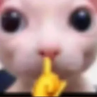 🤫 emoji Россия щедрая душа Telegram sticker 22 of 107
