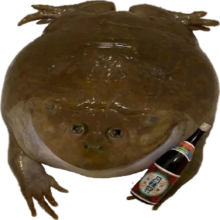 🍾 emoji жабки!! Telegram sticker 10 of 89