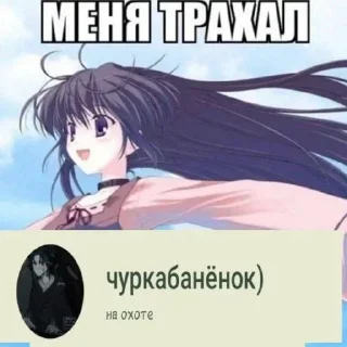 Sticker from Меня трахало пол флуда