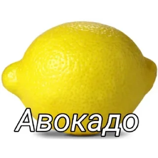 🥑 emoji Больше стикеров 👉🏻 @stickertg4 Telegram sticker 6 of 20