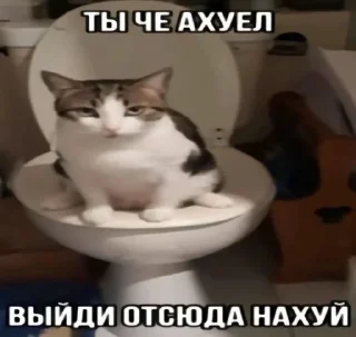 Sticker from пак хирохито@potokvaomine  @fStikBot