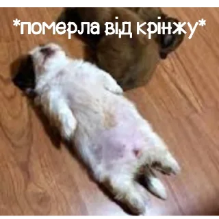 😵 emoji Мм які смечненькі російські немовлята Telegram sticker 4 of 24