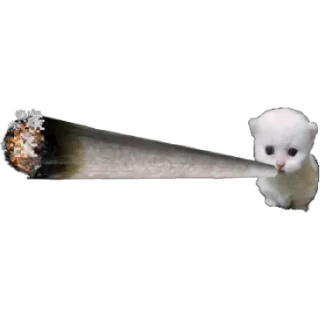 🐱 emoji by grayxoba TU Telegram sticker 15 of 15