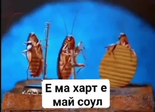 Sticker from гучи мамми на джуси