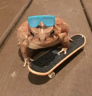 🐸 emoji скейтерский хехе и хаха Telegram sticker 5 of 14
