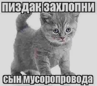 😃 emoji злые Telegram sticker 1 of 36