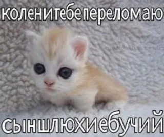 😄 emoji злые Telegram sticker 24 of 36