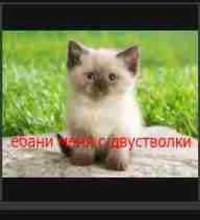😊 emoji мои помои Telegram sticker 7 of 50