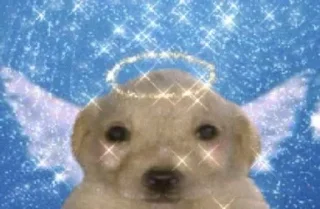 🌟 emoji Смешные Псины Telegram sticker 22 of 88