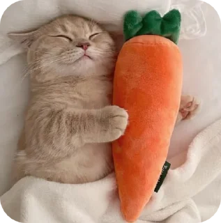🥕 emoji мысли snna Telegram sticker 24 of 47