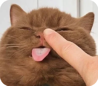 😛 emoji мысли snna Telegram sticker 16 of 47