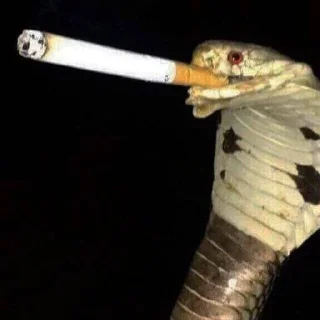 🚬 emoji cringe Telegram sticker 7 of 32