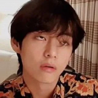 🍔 emoji taetae Telegram sticker 5 of 25