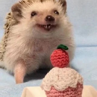🤗 emoji Ёжики от Аарона (для Жанчика и Эндрю♡!) Telegram sticker 17 of 42