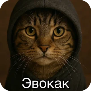🐱 emoji Окаки Telegram sticker 5 of 12