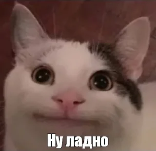 😐 emoji КТО ПРОЧИТАЛ НАТУРАЛ Telegram sticker 10 of 27