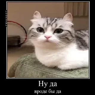 👍 emoji База от @GDR_Rule Telegram sticker 24 of 83