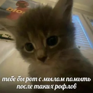 🤐 emoji Юра лох Telegram sticker 19 of 45